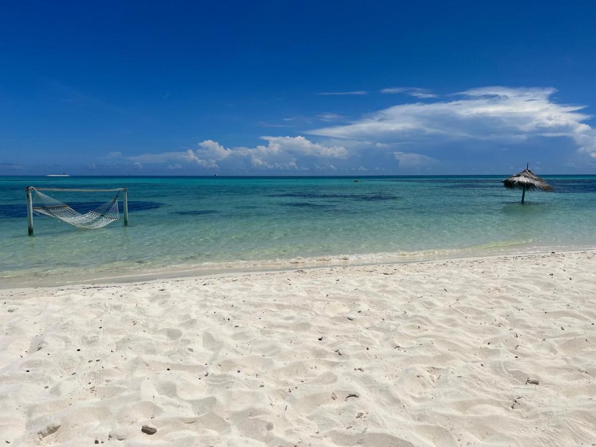 Shamar Guesthouse & Dive Maamigili Island Ngoại thất bức ảnh