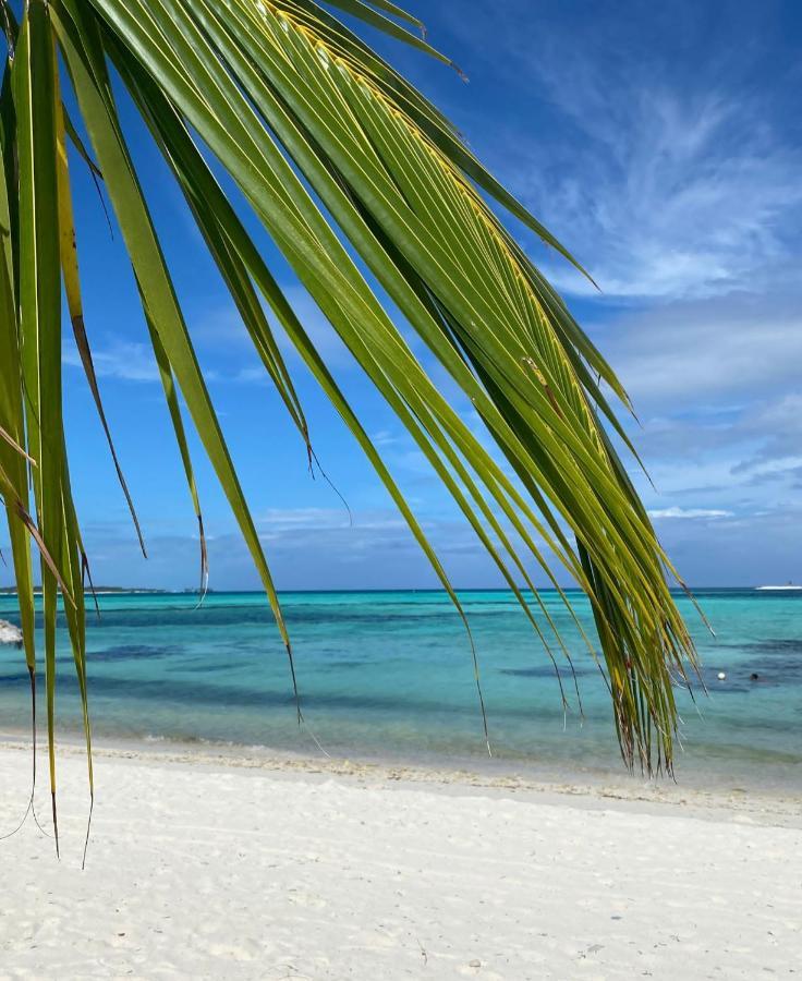 Shamar Guesthouse & Dive Maamigili Island Ngoại thất bức ảnh