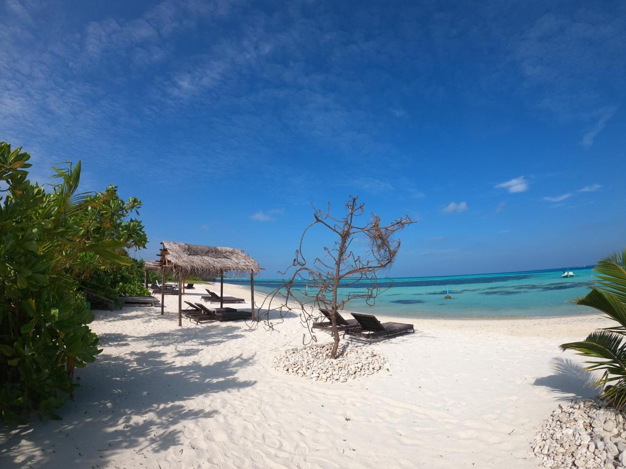 Shamar Guesthouse & Dive Maamigili Island Ngoại thất bức ảnh