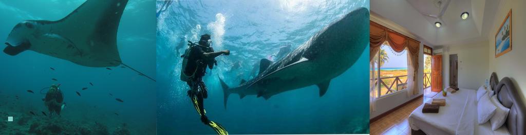 Shamar Guesthouse & Dive Maamigili Island Ngoại thất bức ảnh