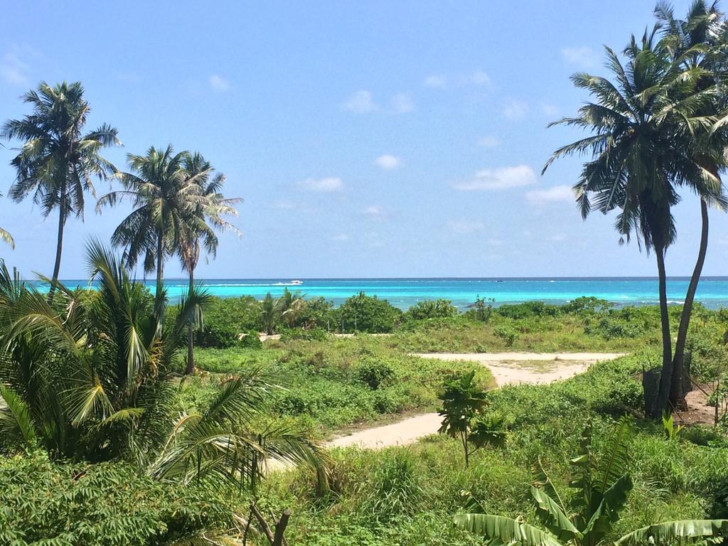 Shamar Guesthouse & Dive Maamigili Island Ngoại thất bức ảnh