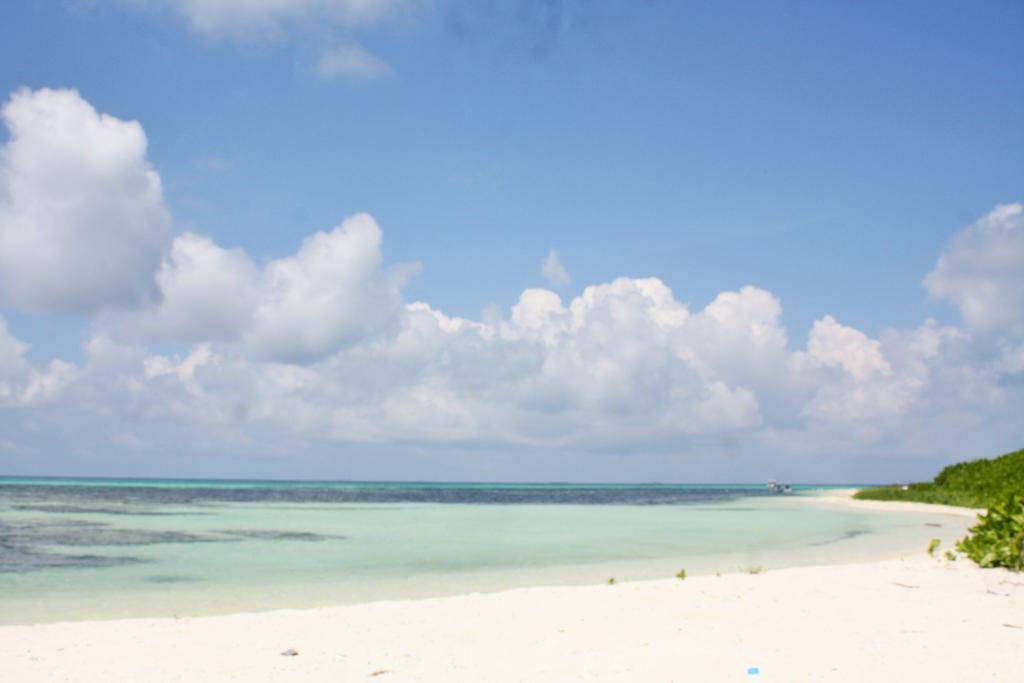 Shamar Guesthouse & Dive Maamigili Island Ngoại thất bức ảnh